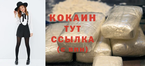 экстази Няндома
