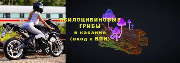 экстази Няндома