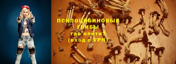 spice Нягань