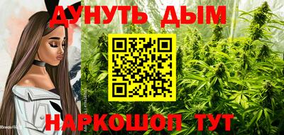 индика Заволжье