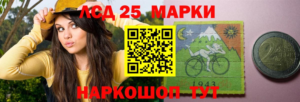 блэк спрут зеркало  Североморск  Лсд 25 экстази кислота  Лсд 25 экстази кислота 