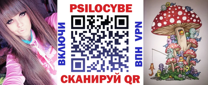Псилоцибиновые грибы Psilocybine cubensis  маркетплейс какой сайт  Североморск 