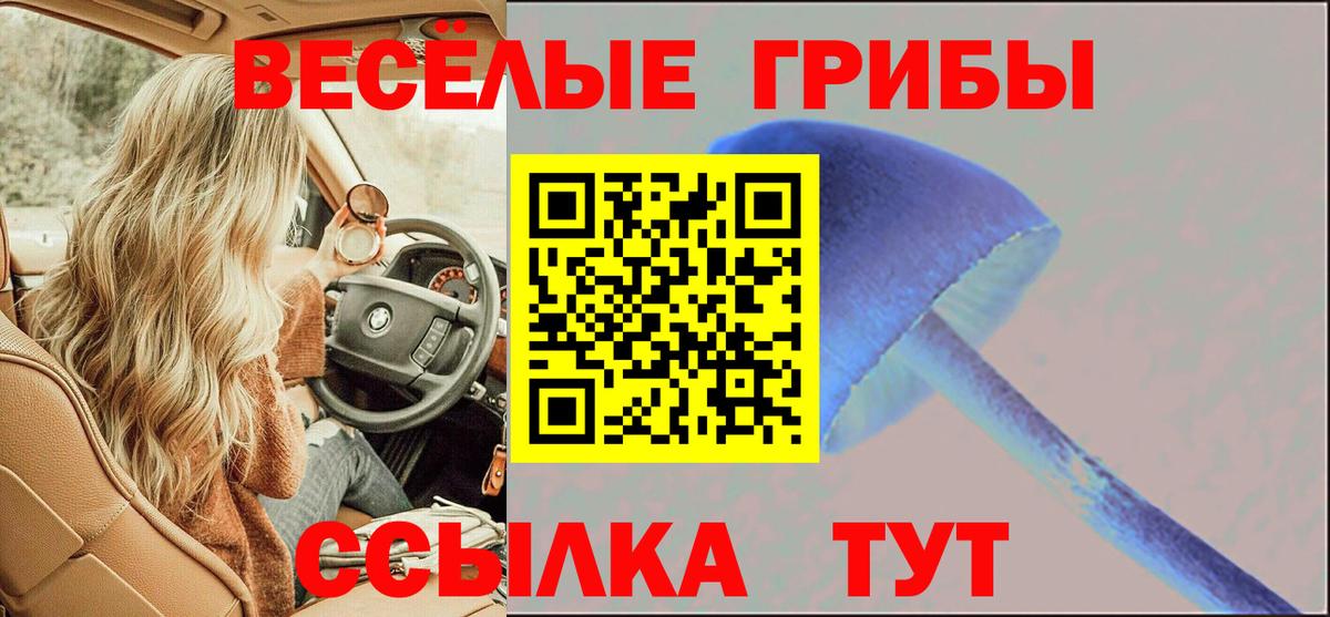 Галлюциногенные грибы прущие грибы  Североморск 