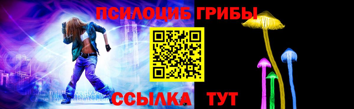 Псилоцибиновые грибы Psilocybine cubensis  Вход с VPN  Североморск 